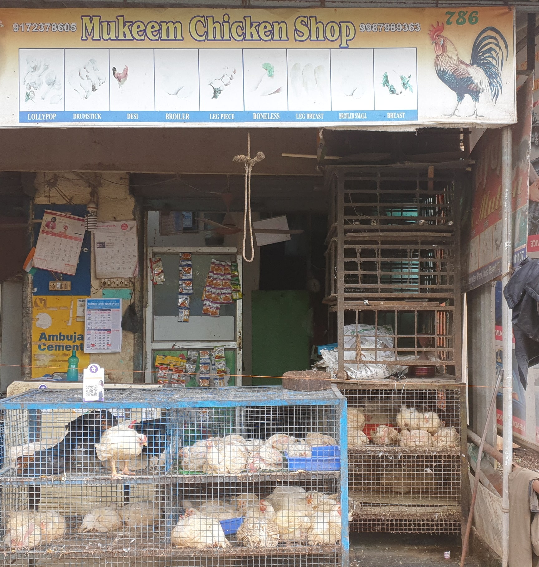 తెలుగు రాష్ట్రాల్లో..చుక్కలు చూపిస్తున్న చికెన్ ధరలు: