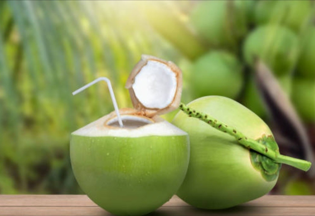 COOL SUMMER: వేసవిలో శరీరాన్ని చల్లబరిచే ఆహారాలివే