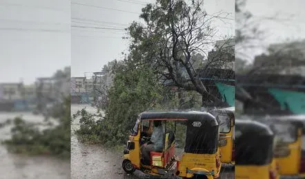 కామారెడ్డి జిల్లాలో భారీ వర్షం.. బస్టాండ్‌ వద్ద విరిగిన భారీ వృక్షం