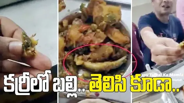 చికెన్ కర్రీలో 'బల్లి' మసాలా! 🚫🔥