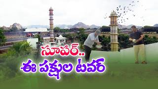 పక్షులకు.. "టవర్" సూపర్!