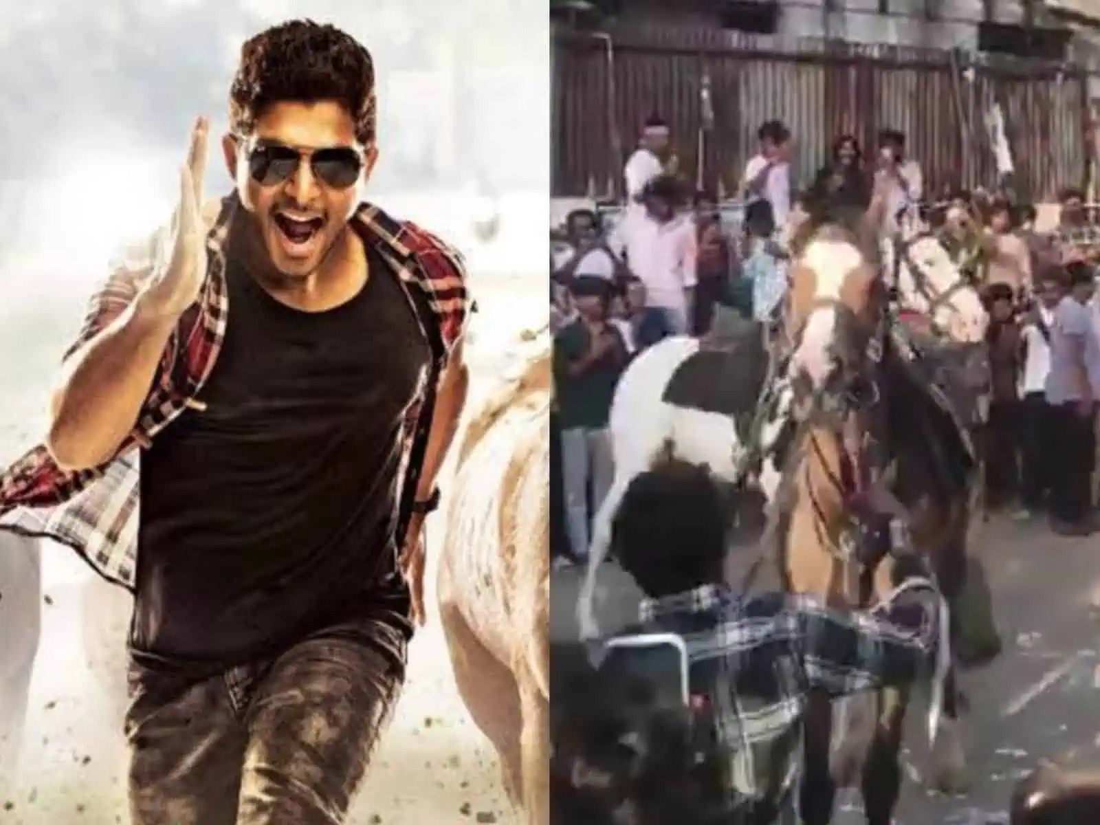 థియేటర్ లో రేస్ గుర్రాలు.