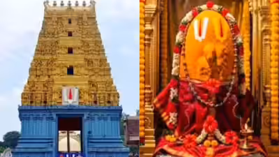 రేపే చందనోత్సవం..అప్పన్న నిజరూప దర్శనం!